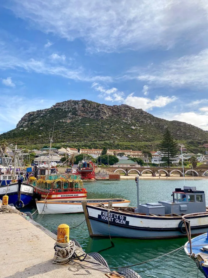 Cape Town city bowl beneath Table Mountain and Lion's Head